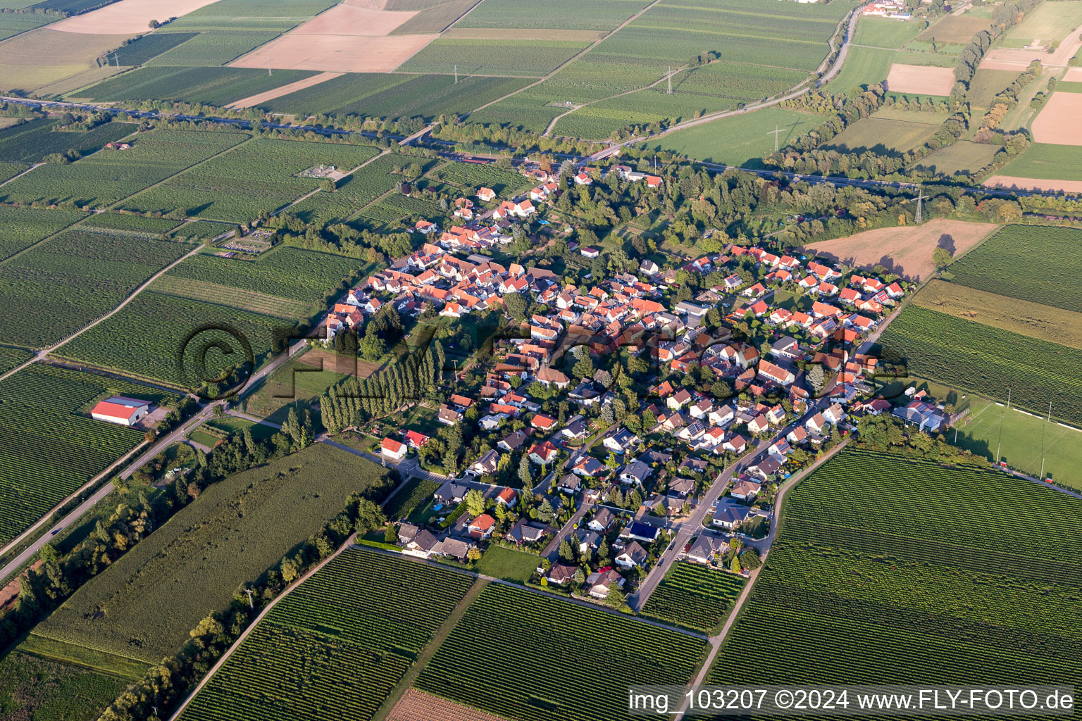 Drone recording of Walsheim in the state Rhineland-Palatinate, Germany