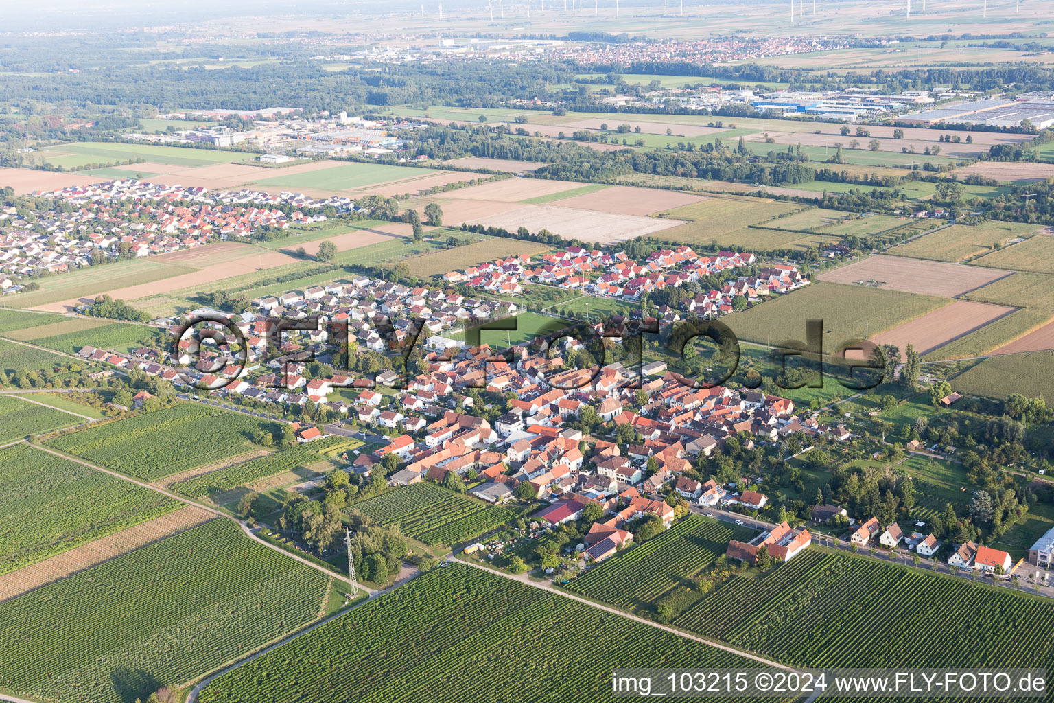 Aerial photograpy of District Dammheim in Landau in der Pfalz in the state Rhineland-Palatinate, Germany