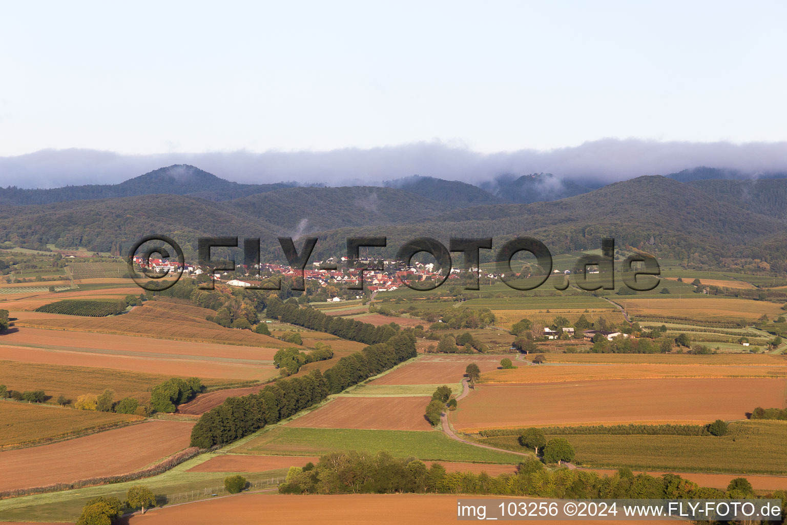 Bird's eye view of Oberotterbach in the state Rhineland-Palatinate, Germany