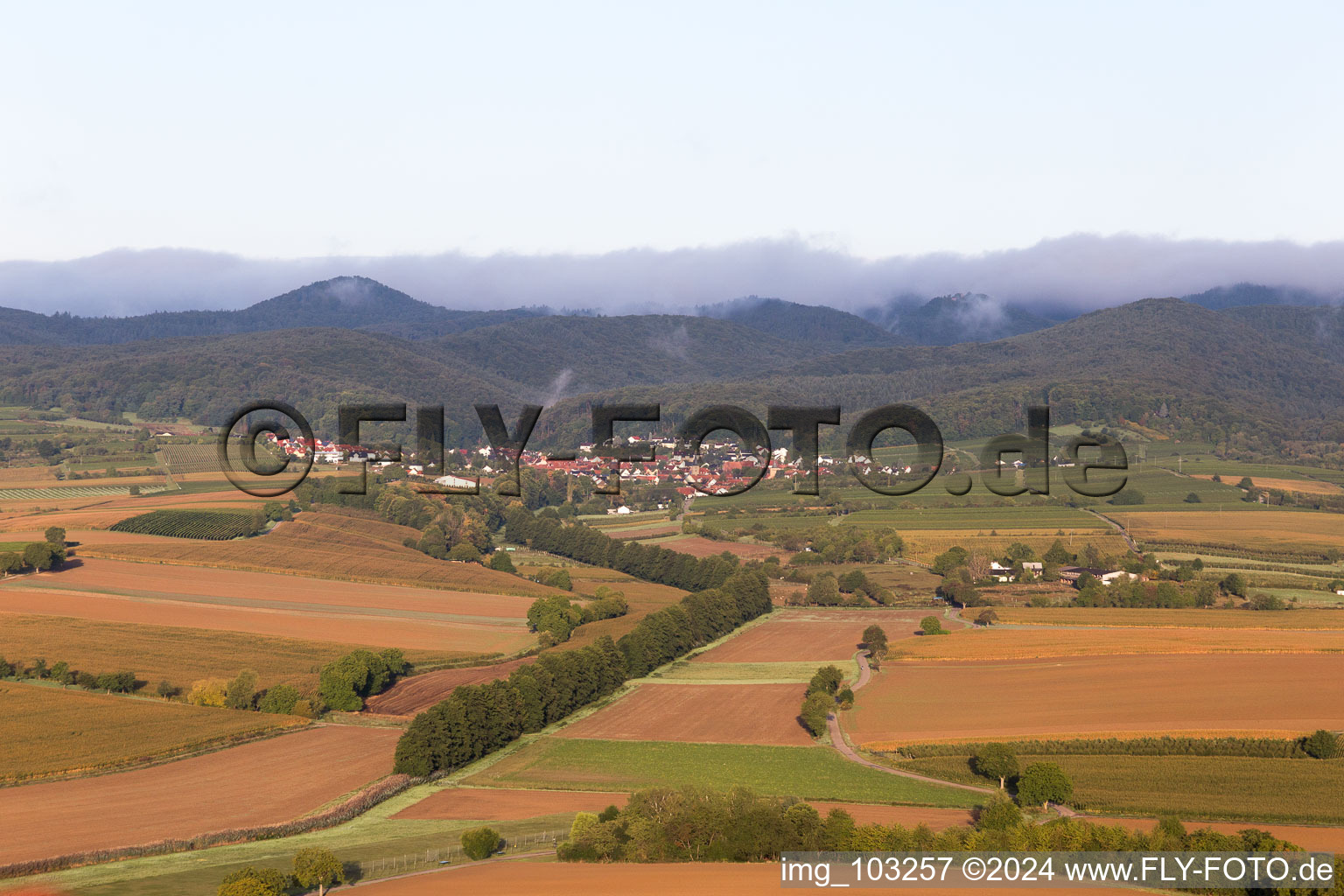 Oberotterbach in the state Rhineland-Palatinate, Germany viewn from the air