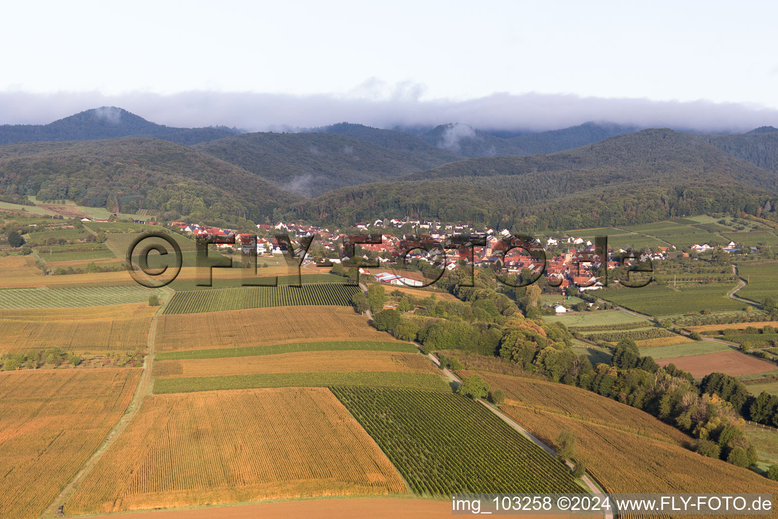 Drone recording of Oberotterbach in the state Rhineland-Palatinate, Germany