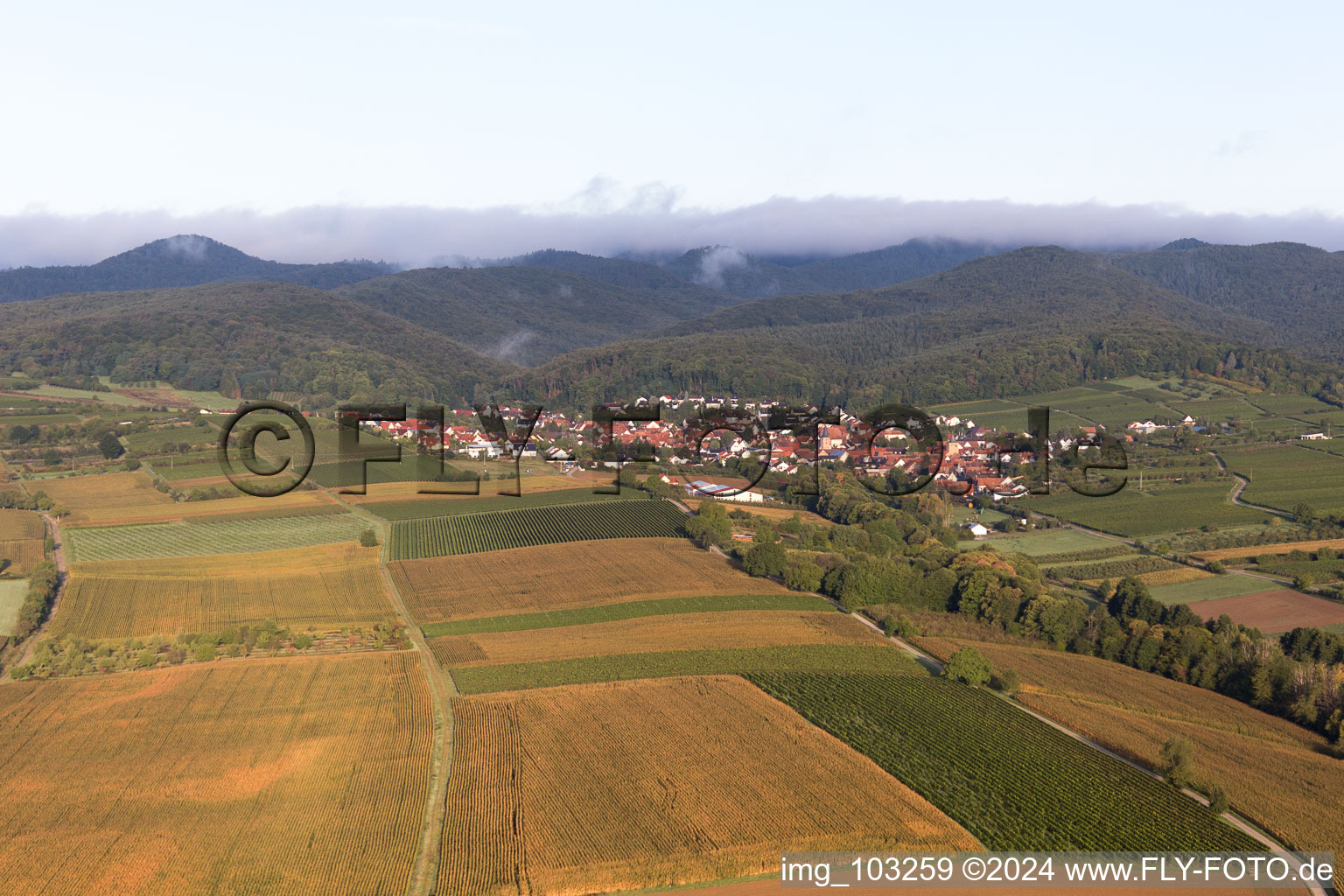 Drone image of Oberotterbach in the state Rhineland-Palatinate, Germany