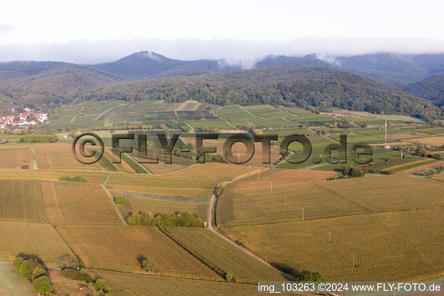 Aerial view of District Rechtenbach in Schweigen-Rechtenbach in the state Rhineland-Palatinate, Germany