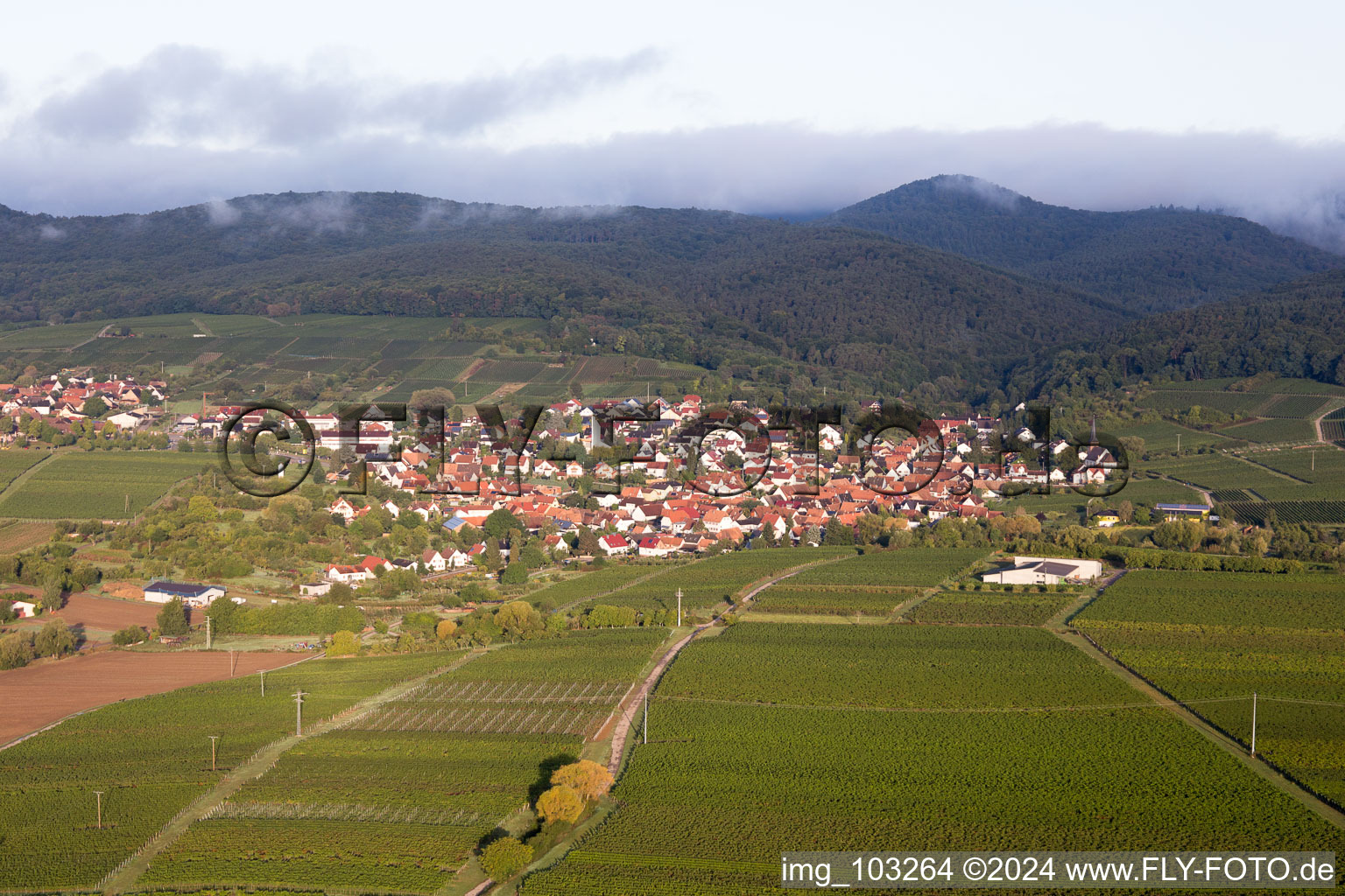 Aerial photograpy of District Rechtenbach in Schweigen-Rechtenbach in the state Rhineland-Palatinate, Germany