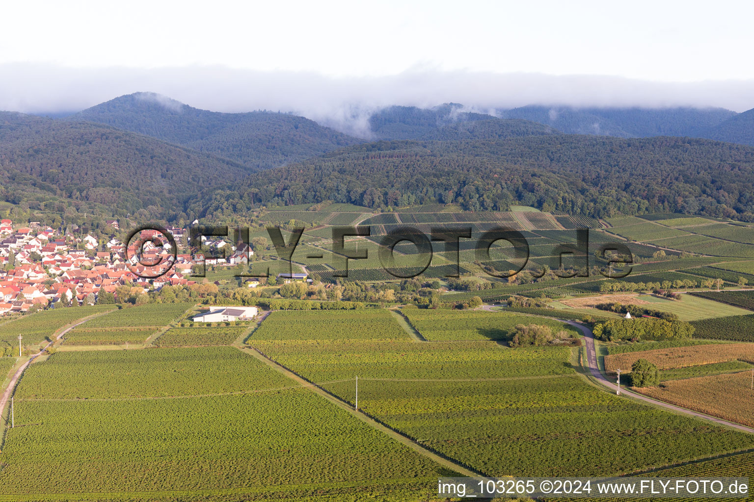 Oblique view of District Rechtenbach in Schweigen-Rechtenbach in the state Rhineland-Palatinate, Germany