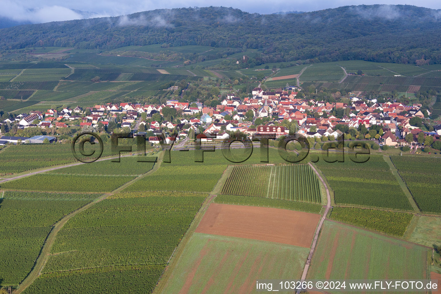 Aerial view of District Schweigen in Schweigen-Rechtenbach in the state Rhineland-Palatinate, Germany