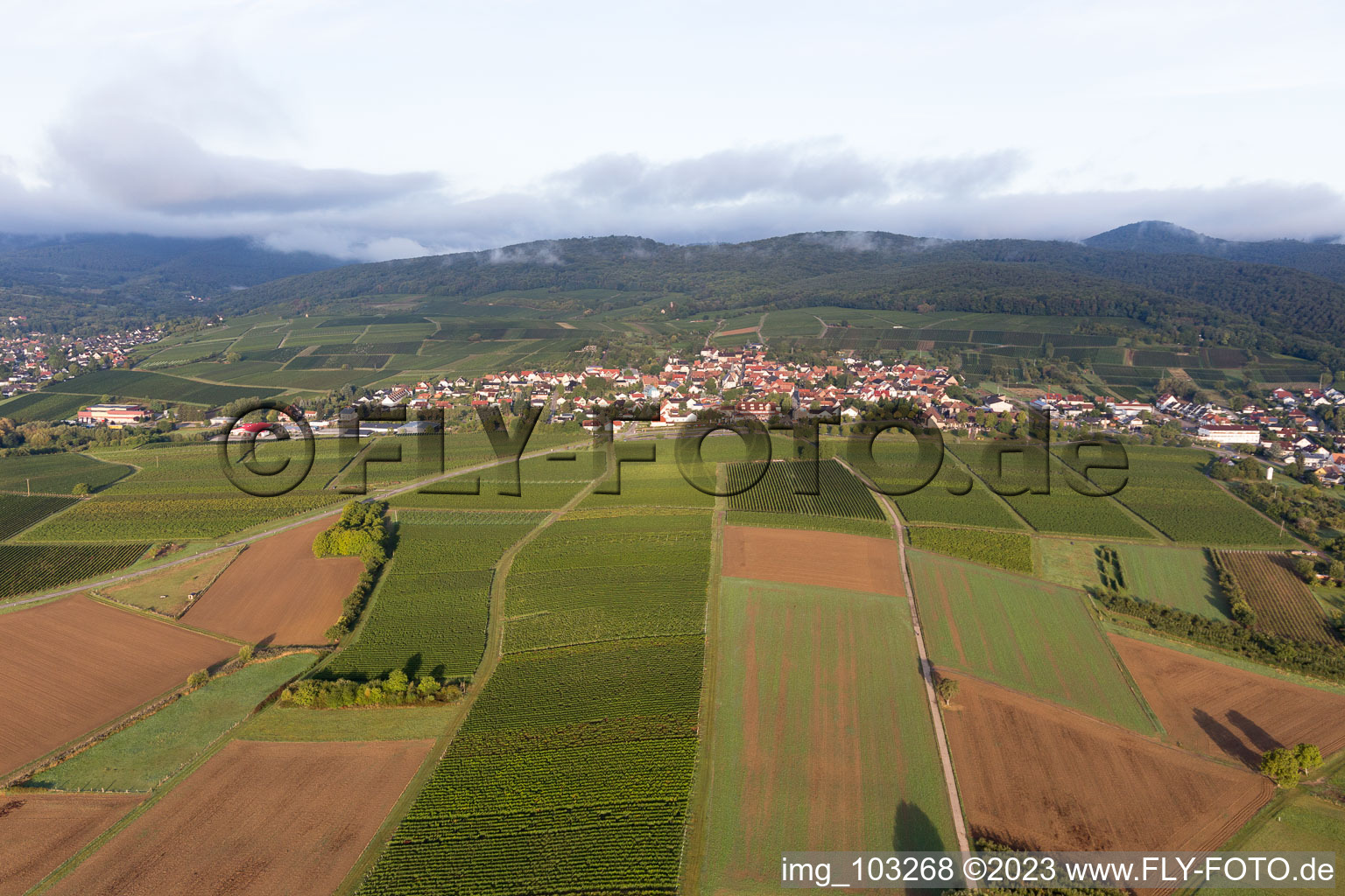Aerial photograpy of District Schweigen in Schweigen-Rechtenbach in the state Rhineland-Palatinate, Germany