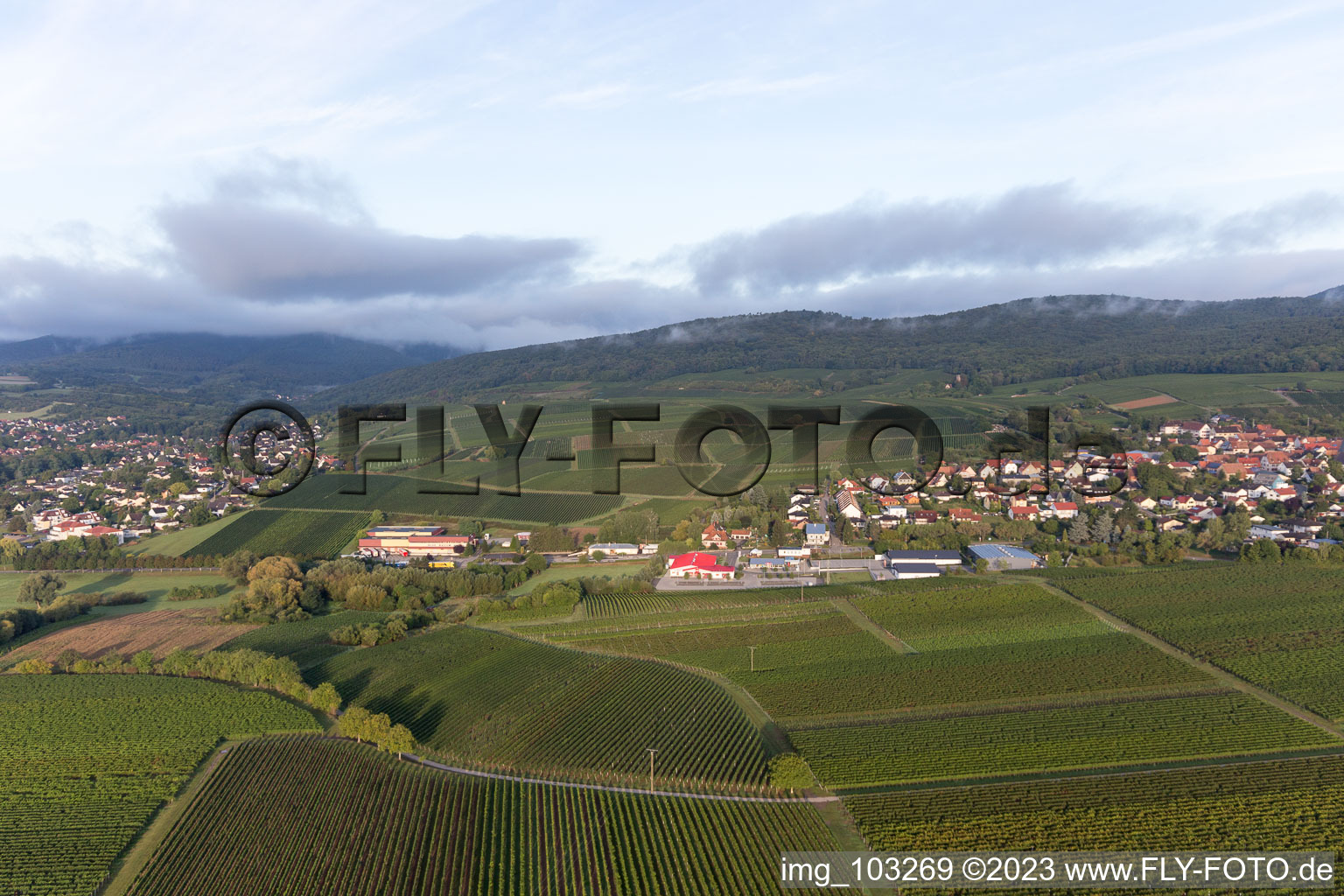 Oblique view of District Schweigen in Schweigen-Rechtenbach in the state Rhineland-Palatinate, Germany