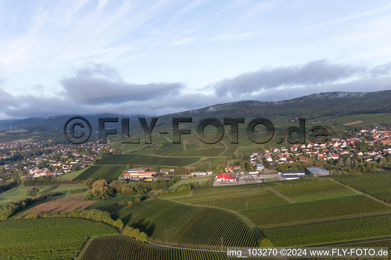 District Schweigen in Schweigen-Rechtenbach in the state Rhineland-Palatinate, Germany from above