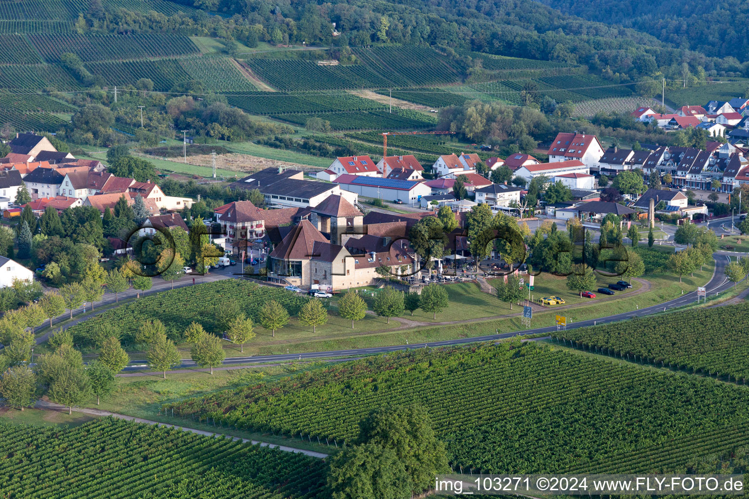 Wine Gate in the district Schweigen in Schweigen-Rechtenbach in the state Rhineland-Palatinate, Germany