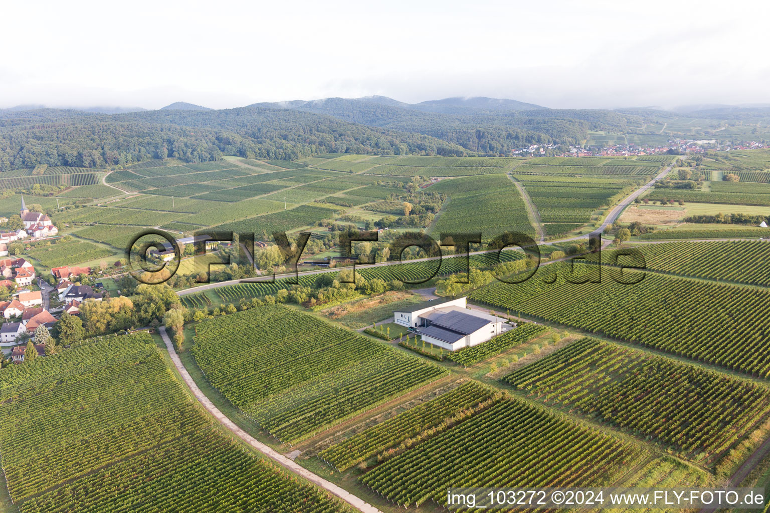 District Rechtenbach in Schweigen-Rechtenbach in the state Rhineland-Palatinate, Germany from above