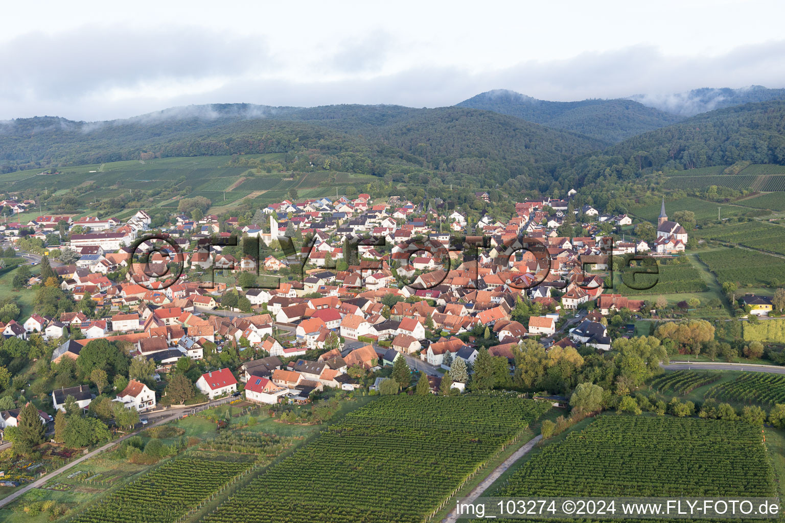 District Rechtenbach in Schweigen-Rechtenbach in the state Rhineland-Palatinate, Germany out of the air