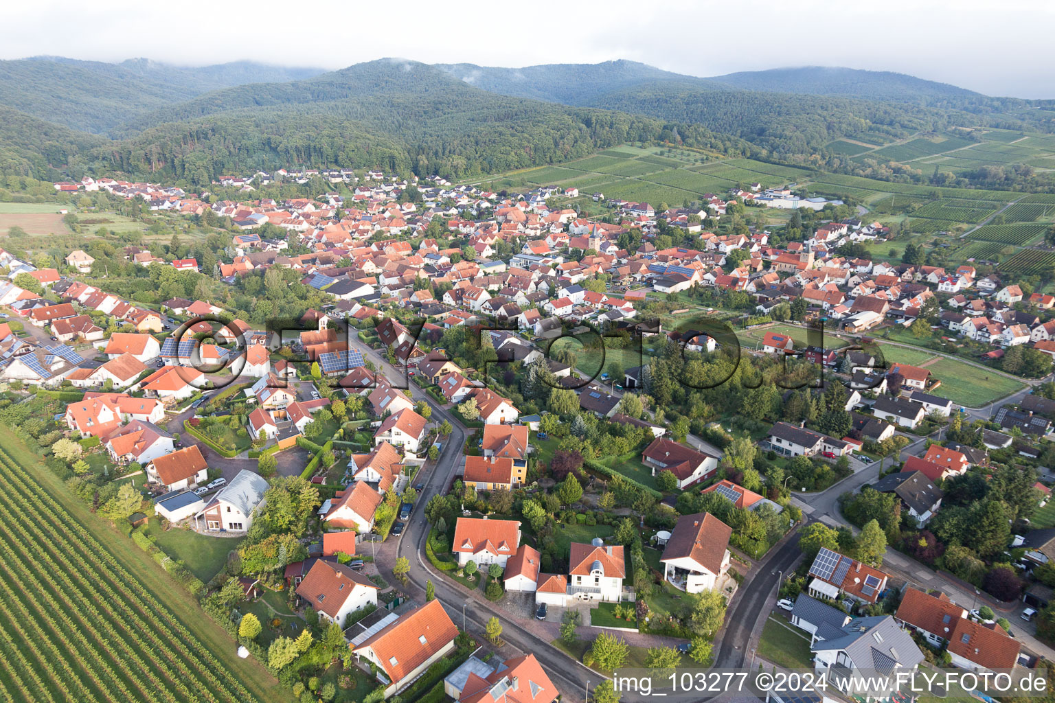 Aerial view of Oberotterbach in the state Rhineland-Palatinate, Germany