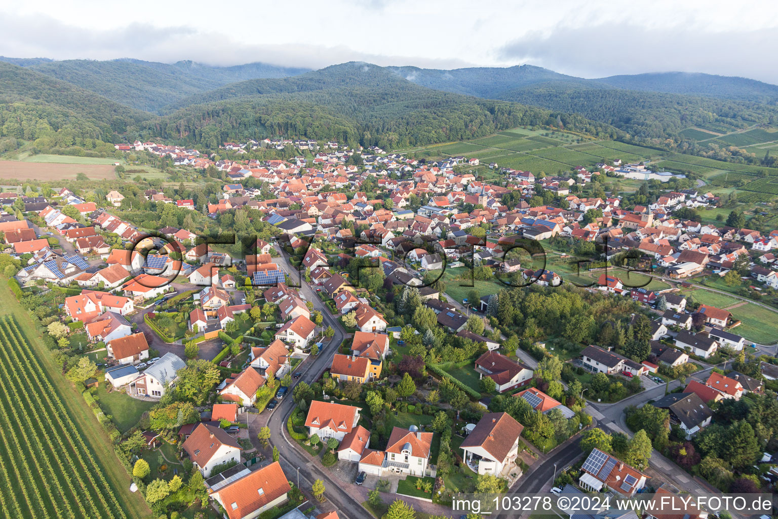 Aerial view of Town View of the streets and houses of the residential areas in Oberotterbach in the state Rhineland-Palatinate, Germany