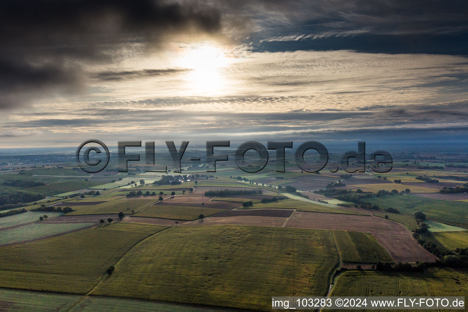 Structures on agricultural fields at morning light in Kapellen-Drusweiler in the state Rhineland-Palatinate, Germany