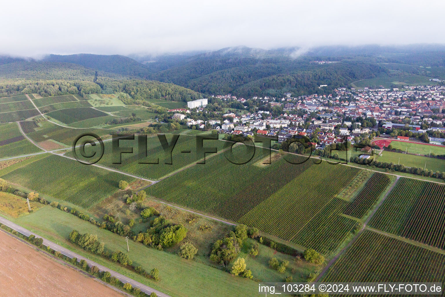 Bad Bergzabern in the state Rhineland-Palatinate, Germany from the drone perspective