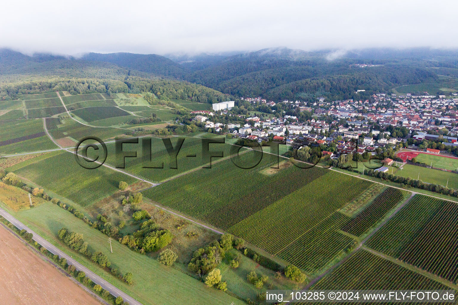 Bad Bergzabern in the state Rhineland-Palatinate, Germany from a drone