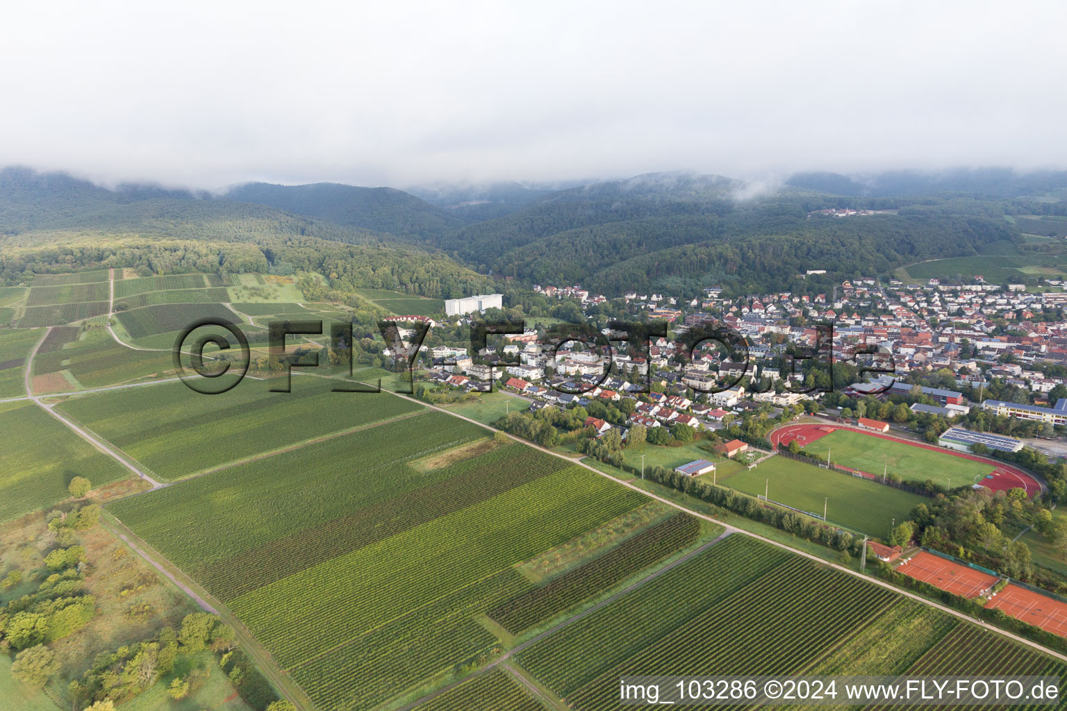 Bad Bergzabern in the state Rhineland-Palatinate, Germany seen from a drone