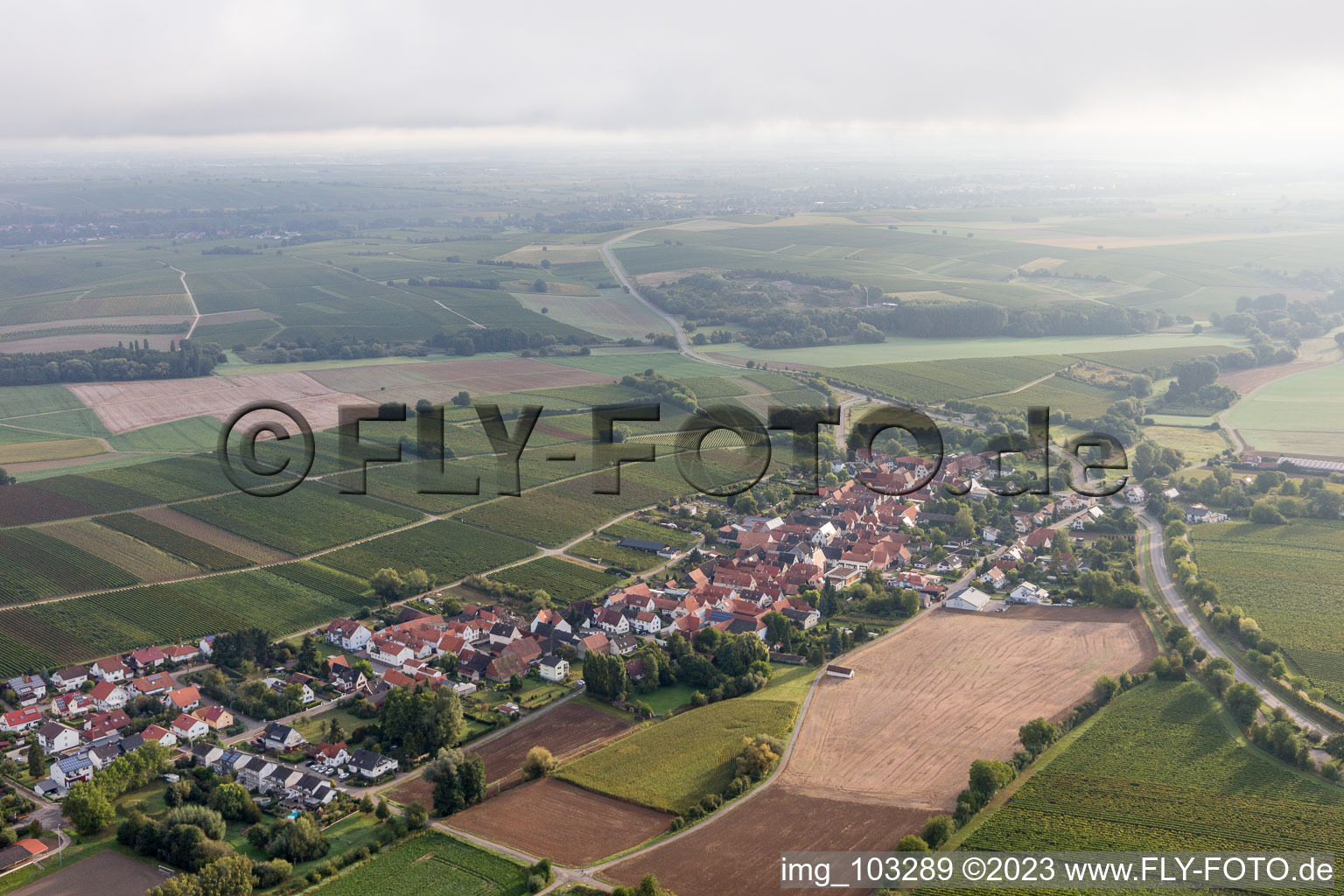 Niederhorbach in the state Rhineland-Palatinate, Germany from above