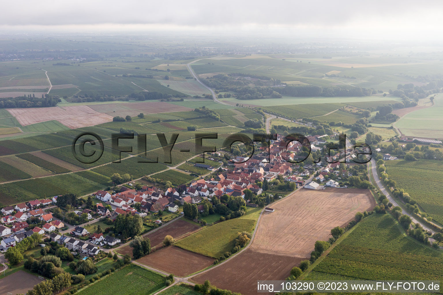 Niederhorbach in the state Rhineland-Palatinate, Germany out of the air
