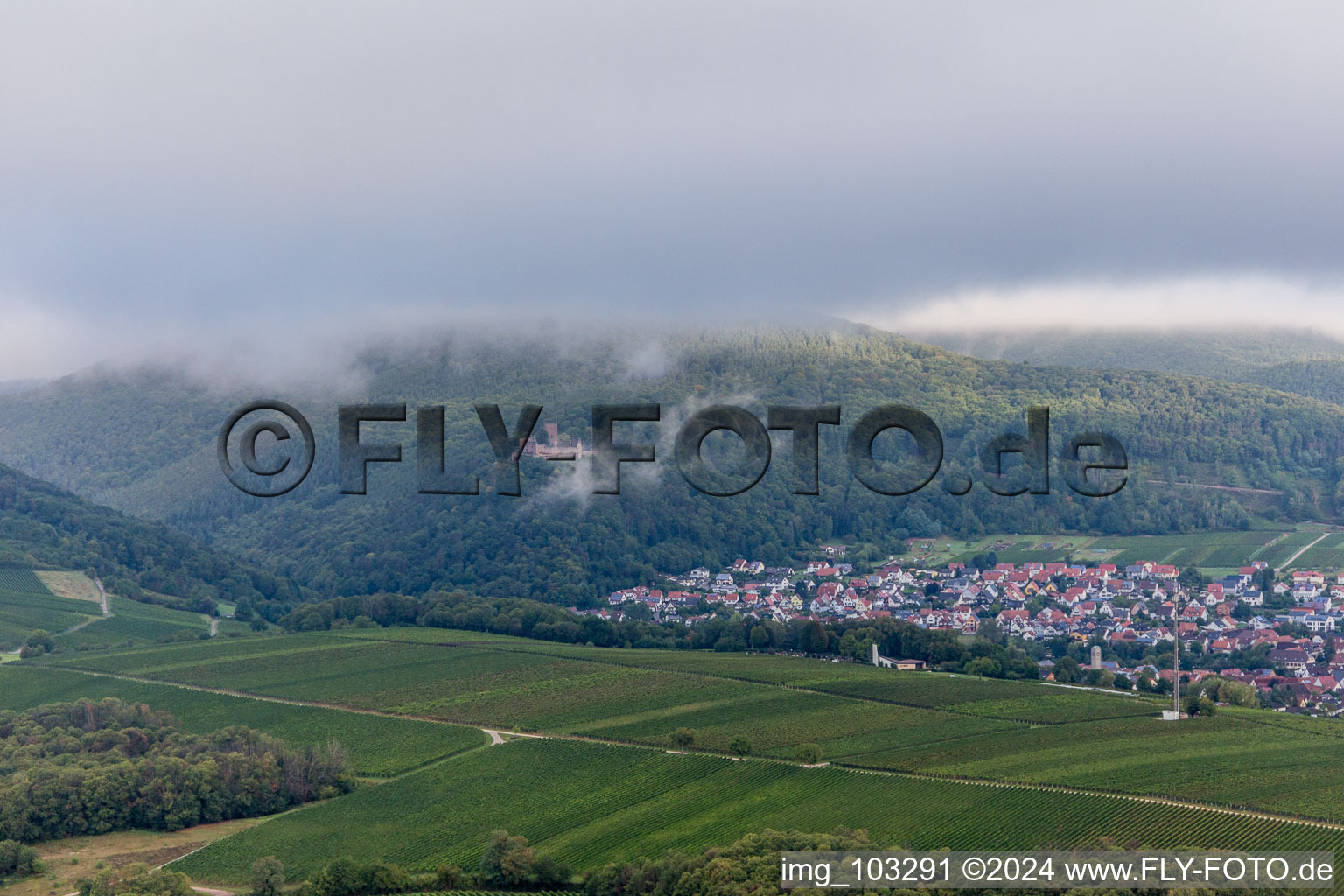 Aerial view of Klingenmünster in the state Rhineland-Palatinate, Germany