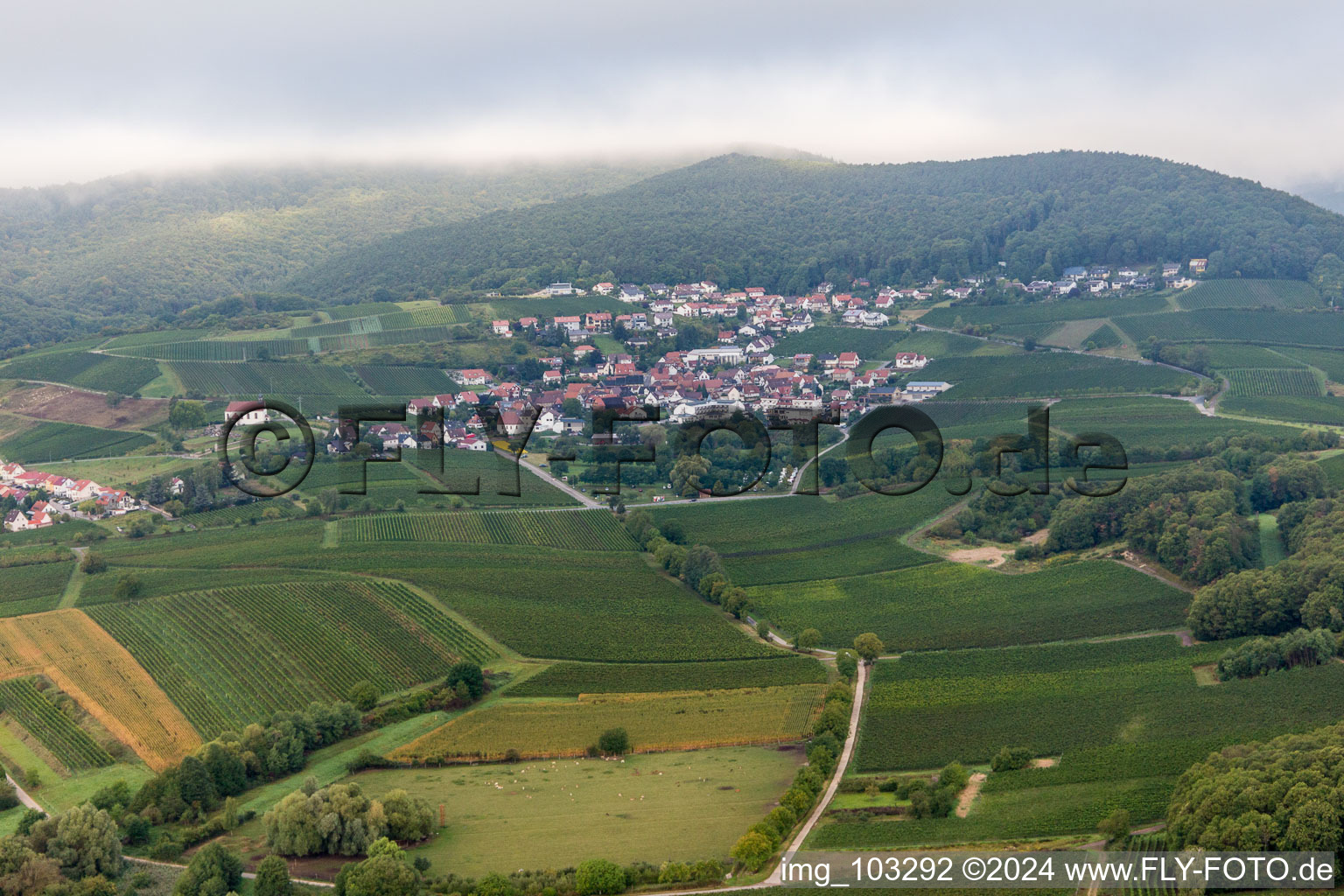 Bird's eye view of District Gleiszellen in Gleiszellen-Gleishorbach in the state Rhineland-Palatinate, Germany