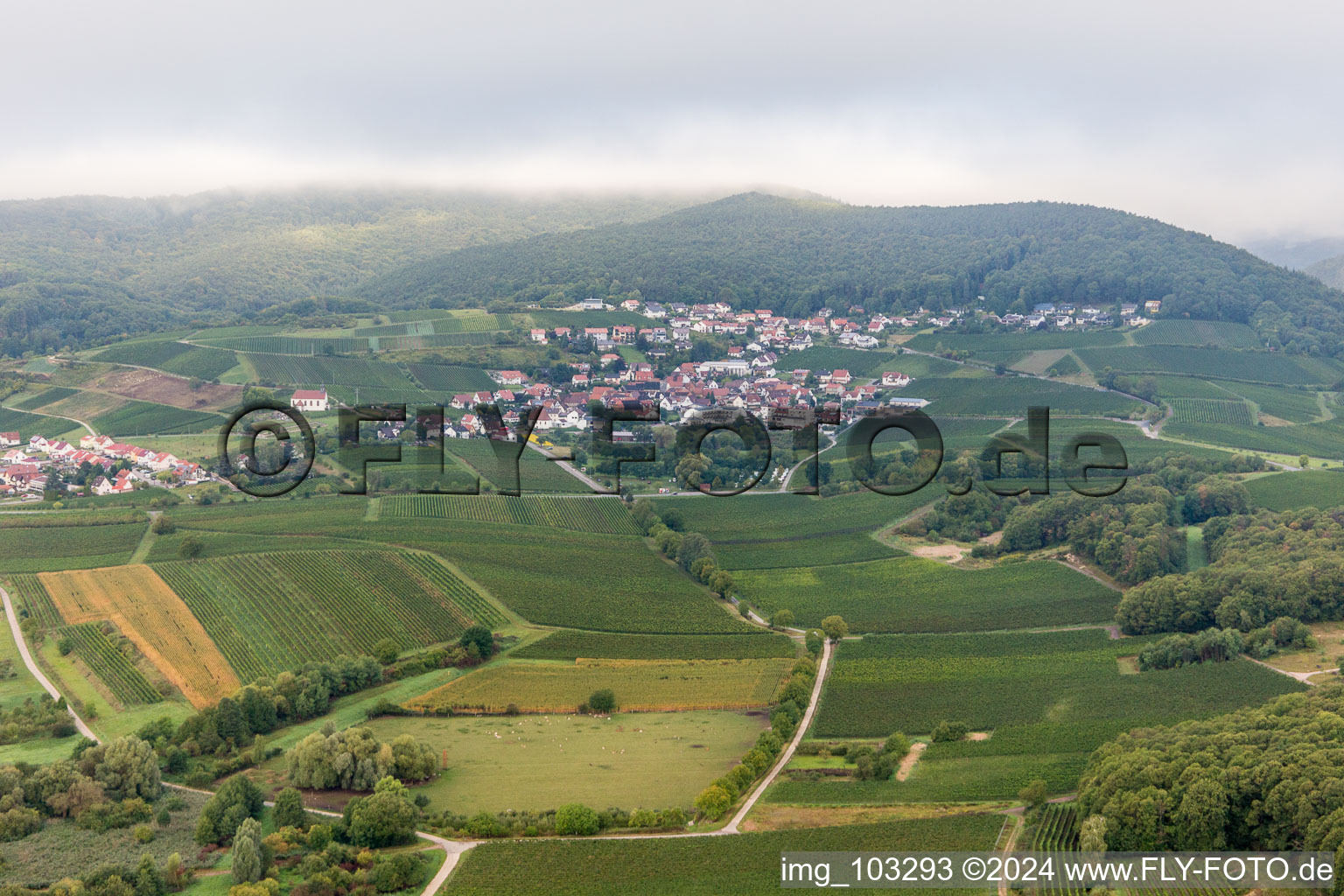 District Gleiszellen in Gleiszellen-Gleishorbach in the state Rhineland-Palatinate, Germany viewn from the air