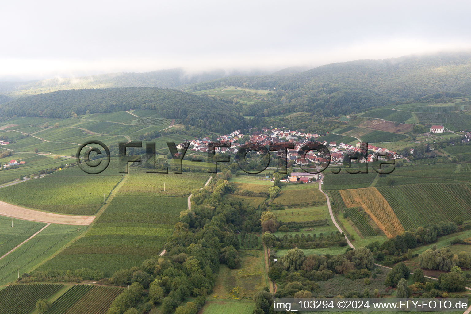 Drone recording of District Gleiszellen in Gleiszellen-Gleishorbach in the state Rhineland-Palatinate, Germany