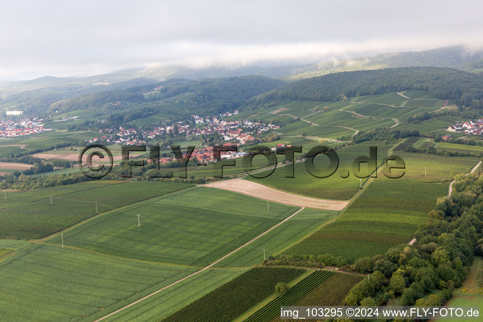 Aerial view of District Oberhofen in Pleisweiler-Oberhofen in the state Rhineland-Palatinate, Germany