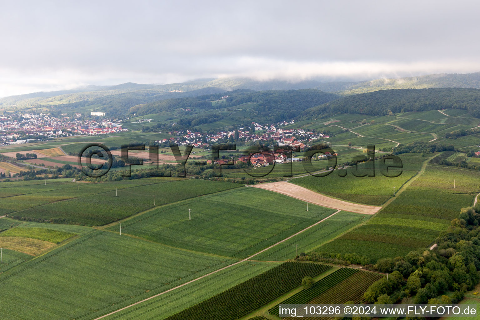 Aerial photograpy of District Oberhofen in Pleisweiler-Oberhofen in the state Rhineland-Palatinate, Germany