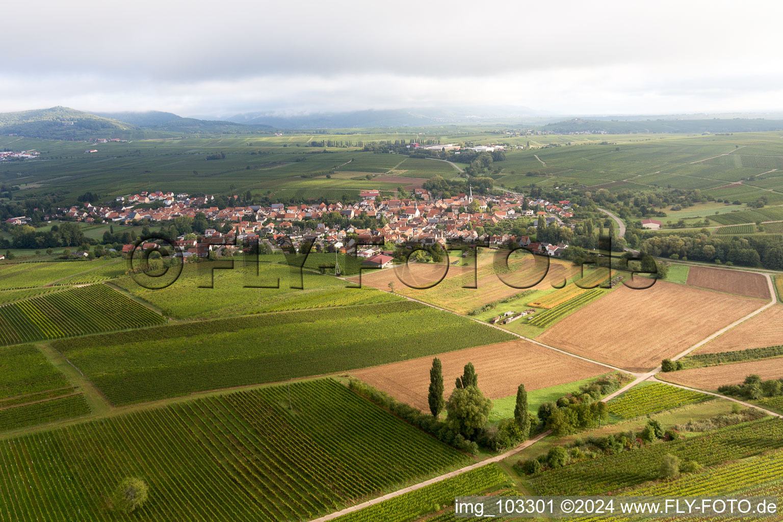 Göcklingen in the state Rhineland-Palatinate, Germany viewn from the air