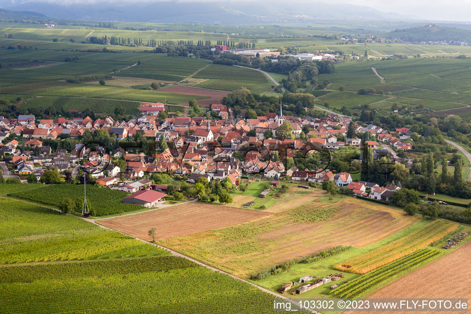 Drone recording of Göcklingen in the state Rhineland-Palatinate, Germany