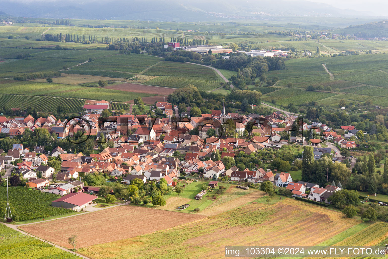 Drone image of Göcklingen in the state Rhineland-Palatinate, Germany