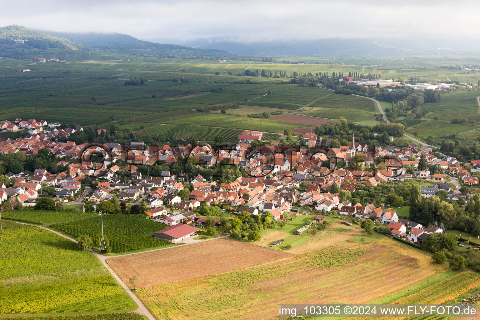 Göcklingen in the state Rhineland-Palatinate, Germany from the drone perspective