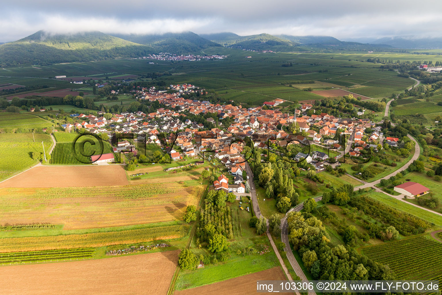 Göcklingen in the state Rhineland-Palatinate, Germany from a drone