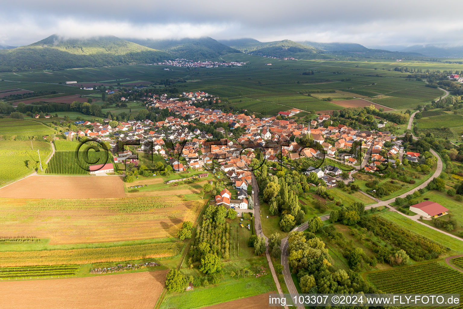 Göcklingen in the state Rhineland-Palatinate, Germany seen from a drone