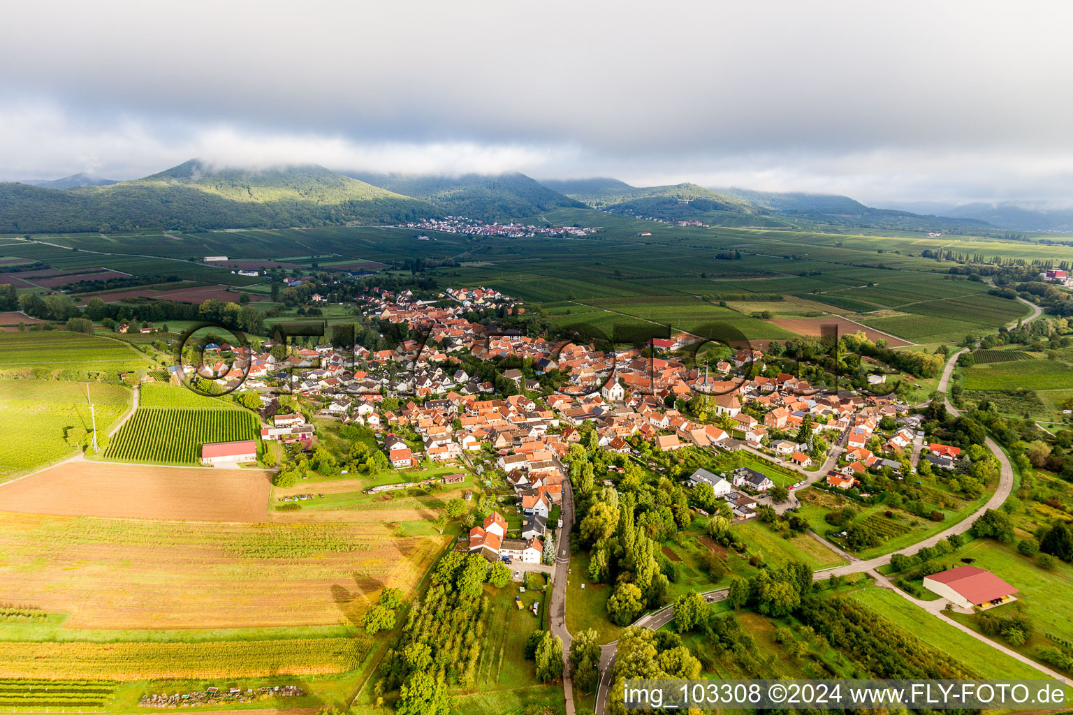 Aerial view of Göcklingen in the state Rhineland-Palatinate, Germany