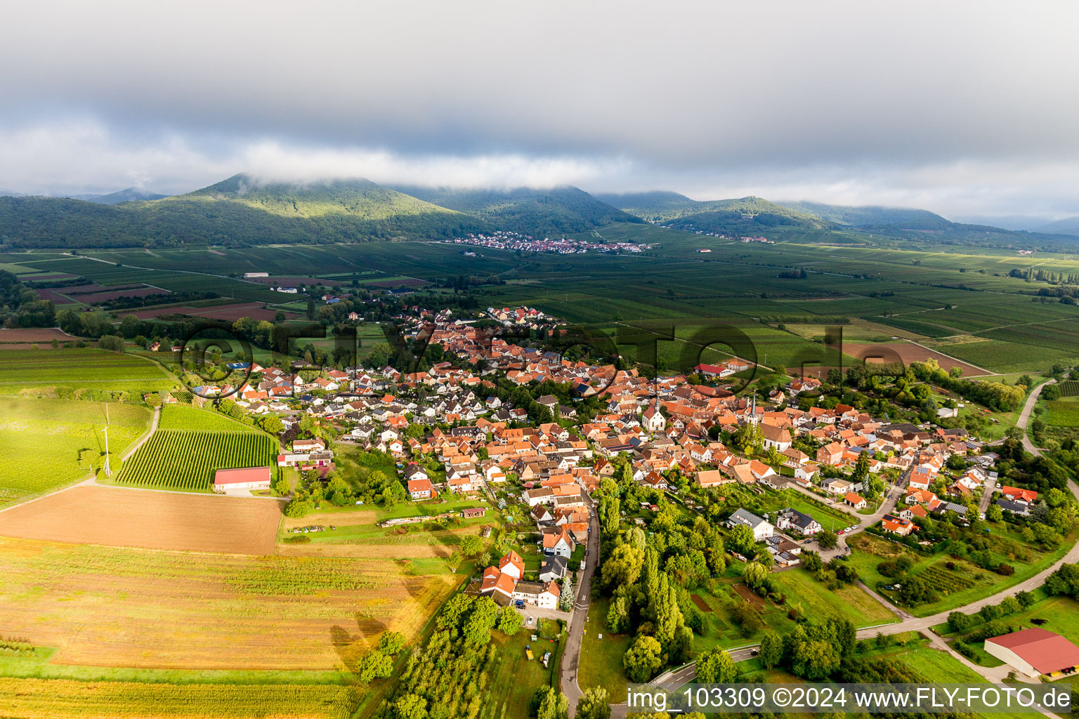 Village - view on the edge of agricultural fields and farmland in morning light below low clouds in Goecklingen in the state Rhineland-Palatinate, Germany
