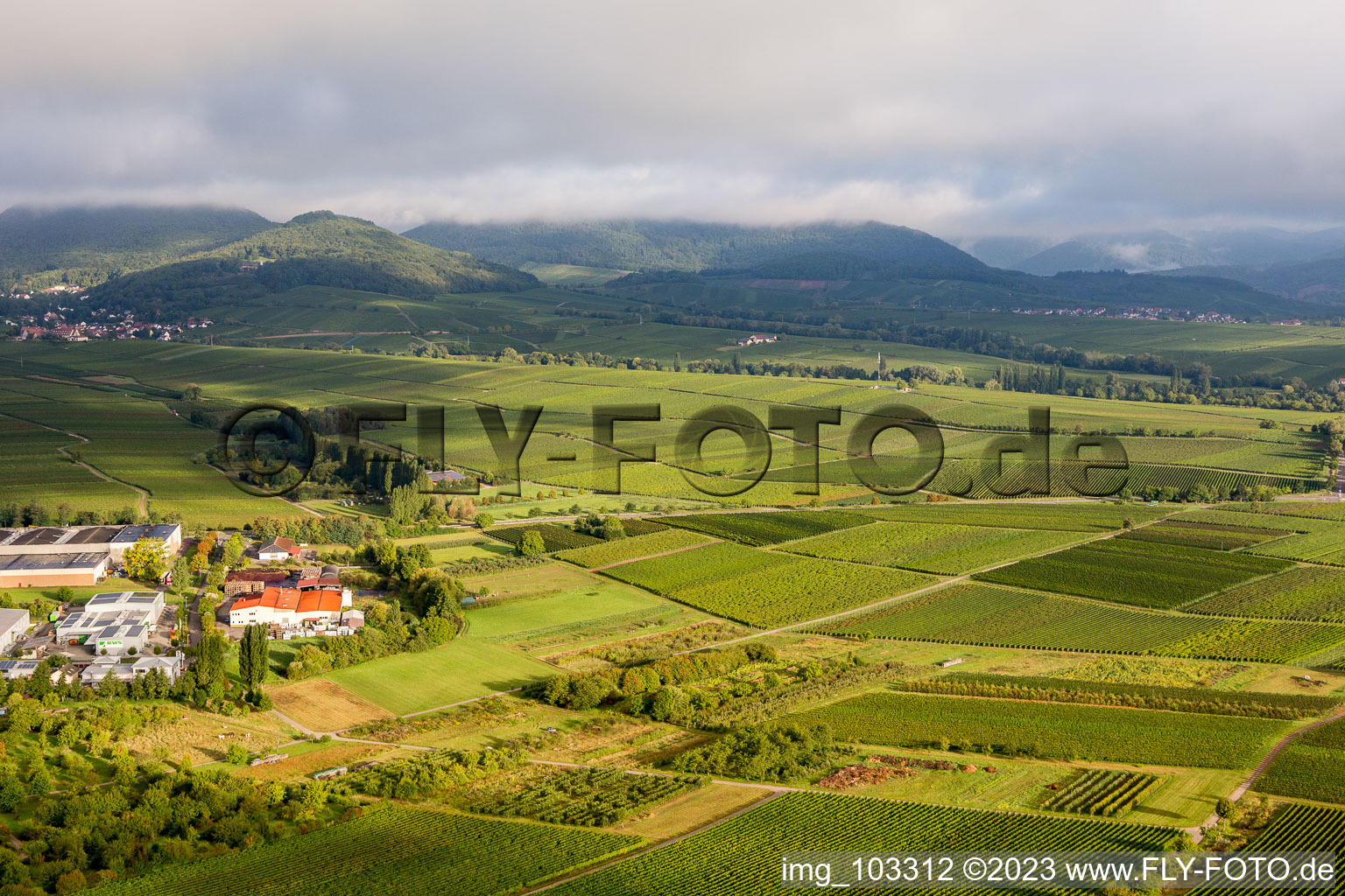 Drone recording of Ilbesheim bei Landau in der Pfalz in the state Rhineland-Palatinate, Germany