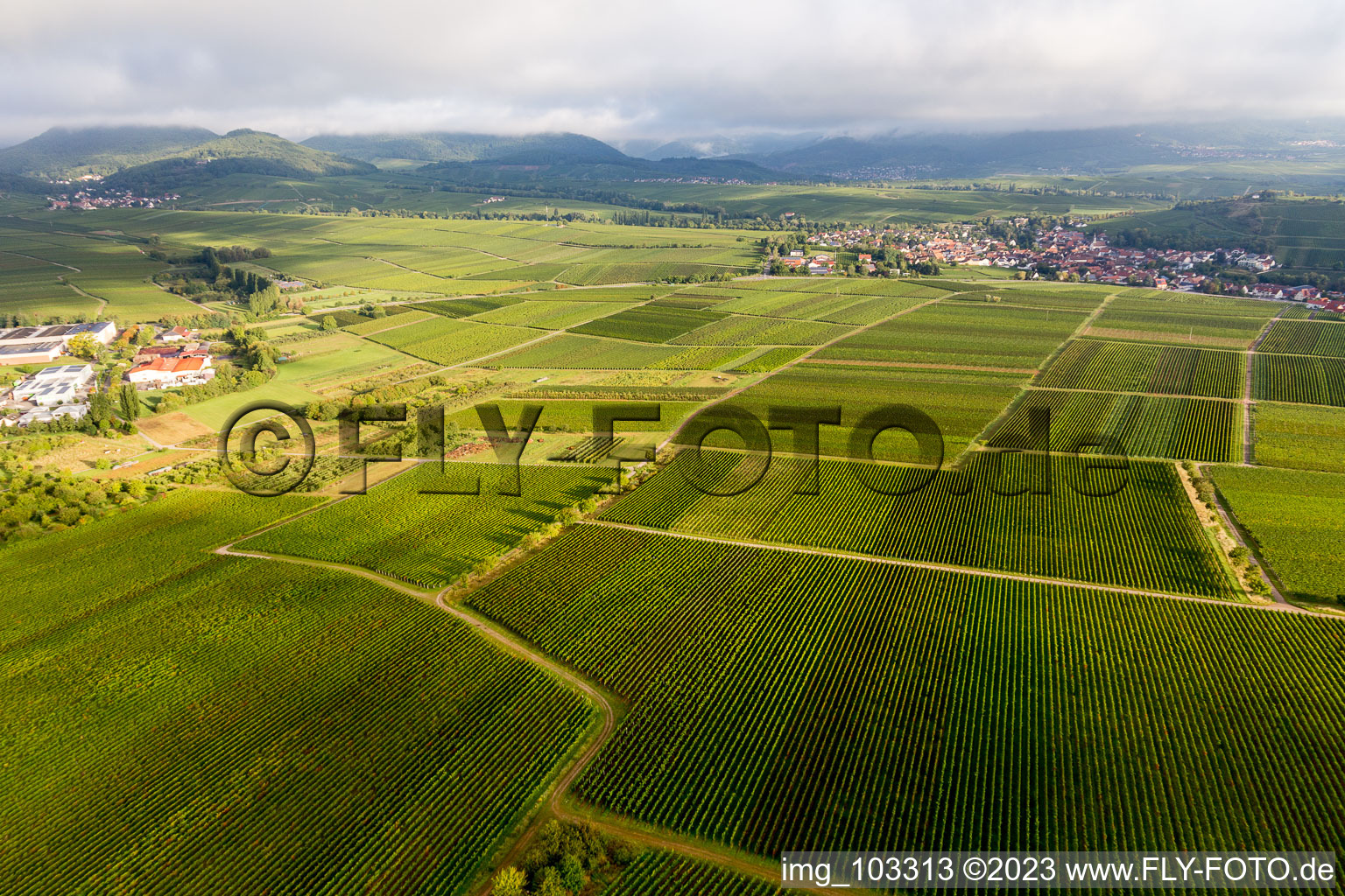 Drone image of Ilbesheim bei Landau in der Pfalz in the state Rhineland-Palatinate, Germany