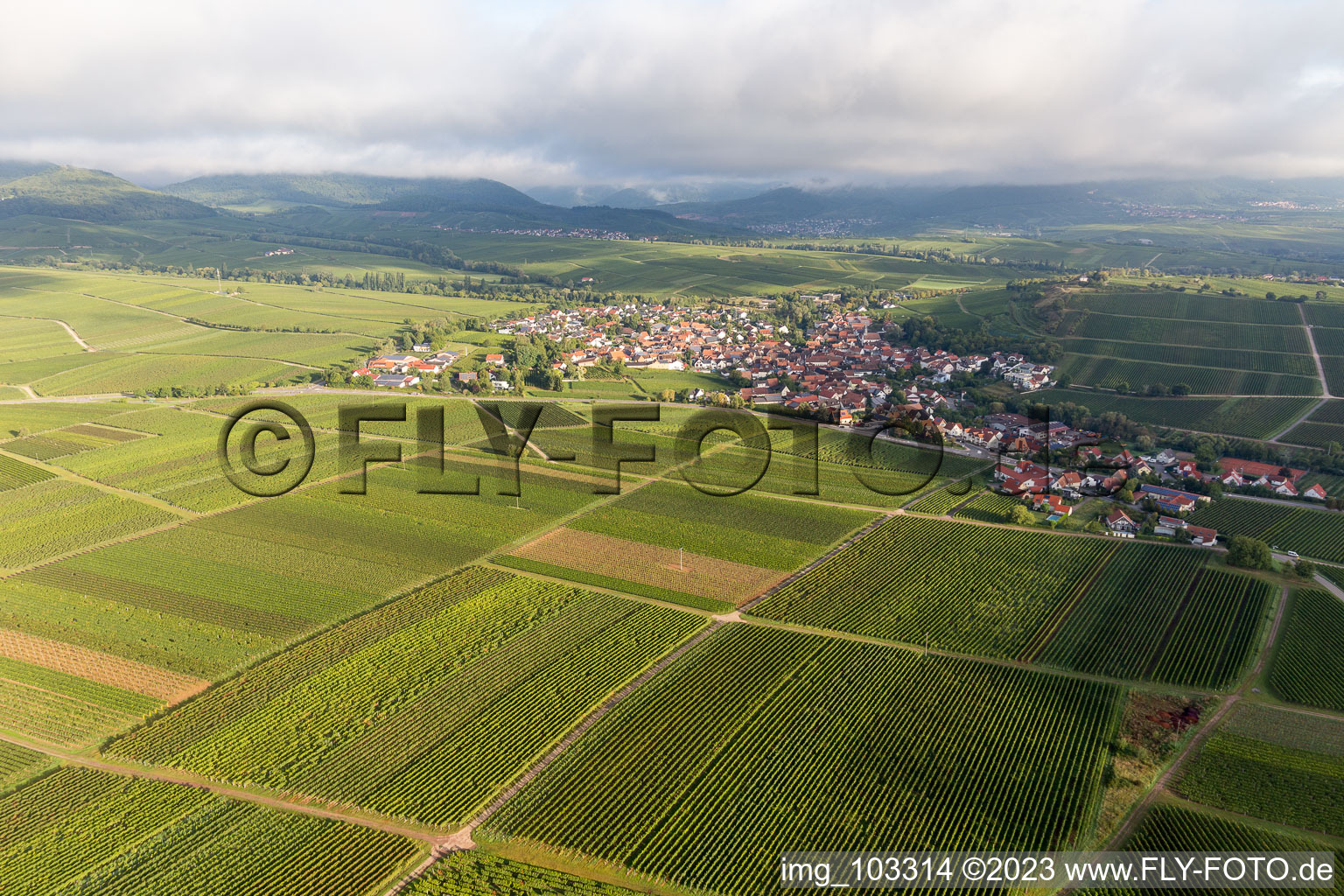 Ilbesheim bei Landau in der Pfalz in the state Rhineland-Palatinate, Germany from the drone perspective