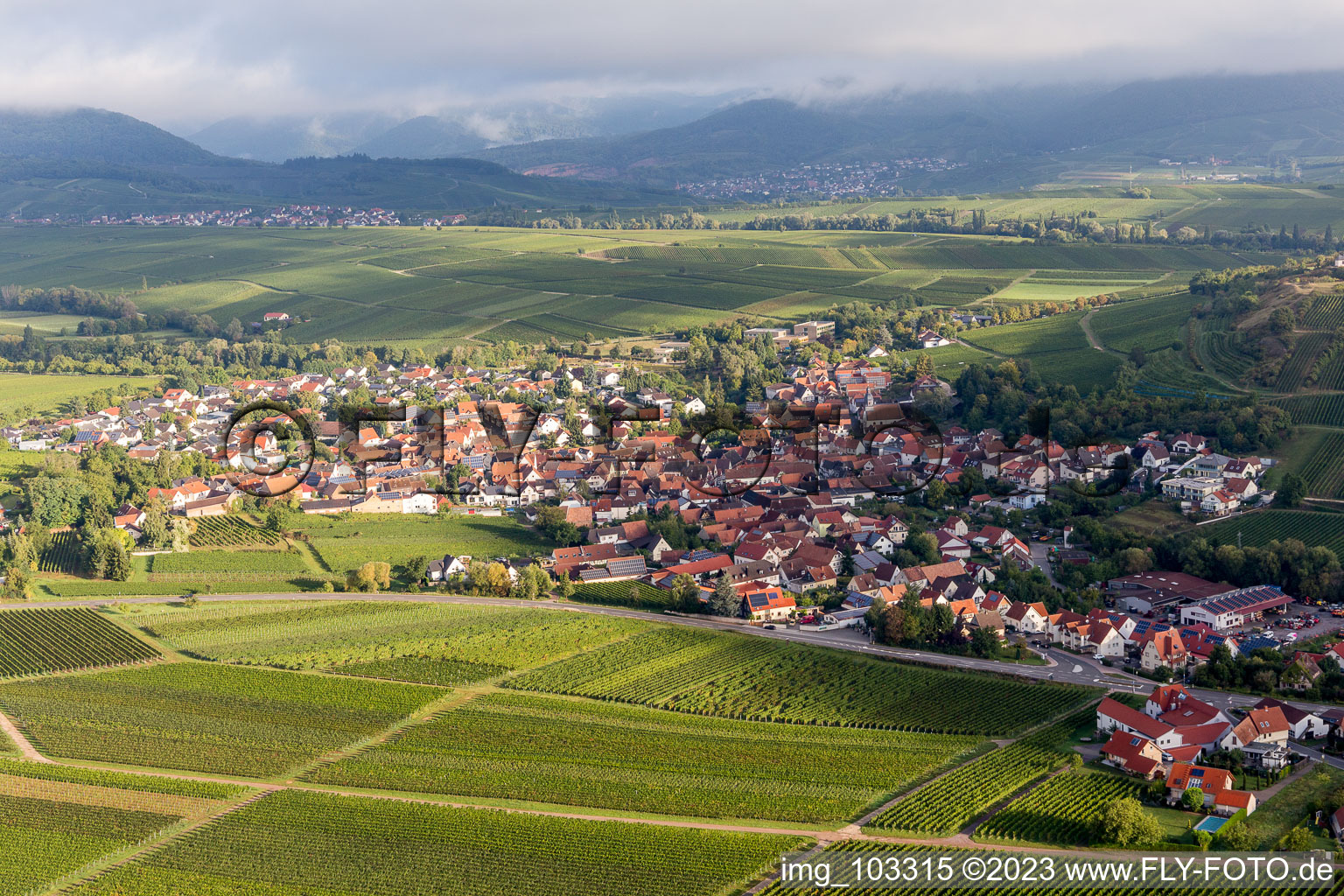 Ilbesheim bei Landau in der Pfalz in the state Rhineland-Palatinate, Germany from a drone