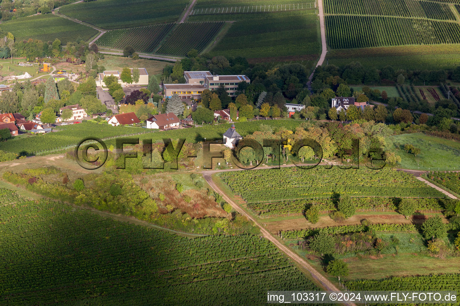 Aerial view of Ilbesheim bei Landau in der Pfalz in the state Rhineland-Palatinate, Germany