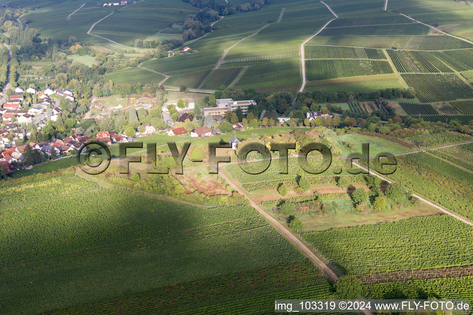 Aerial photograpy of Ilbesheim bei Landau in der Pfalz in the state Rhineland-Palatinate, Germany
