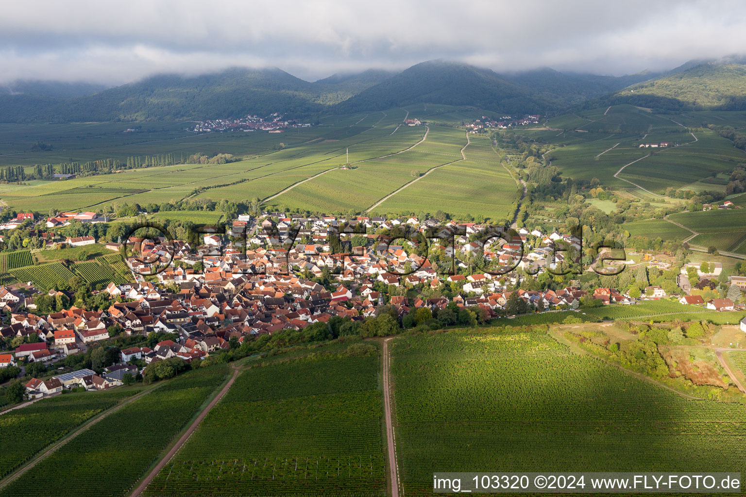 Oblique view of Ilbesheim bei Landau in der Pfalz in the state Rhineland-Palatinate, Germany