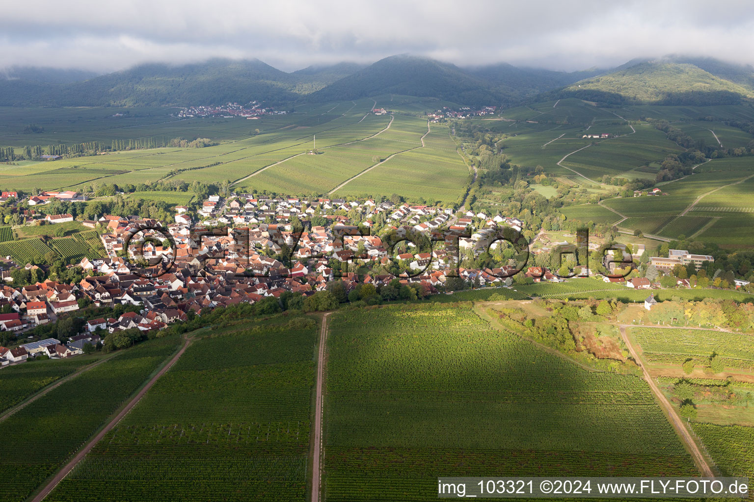 Ilbesheim bei Landau in der Pfalz in the state Rhineland-Palatinate, Germany from above