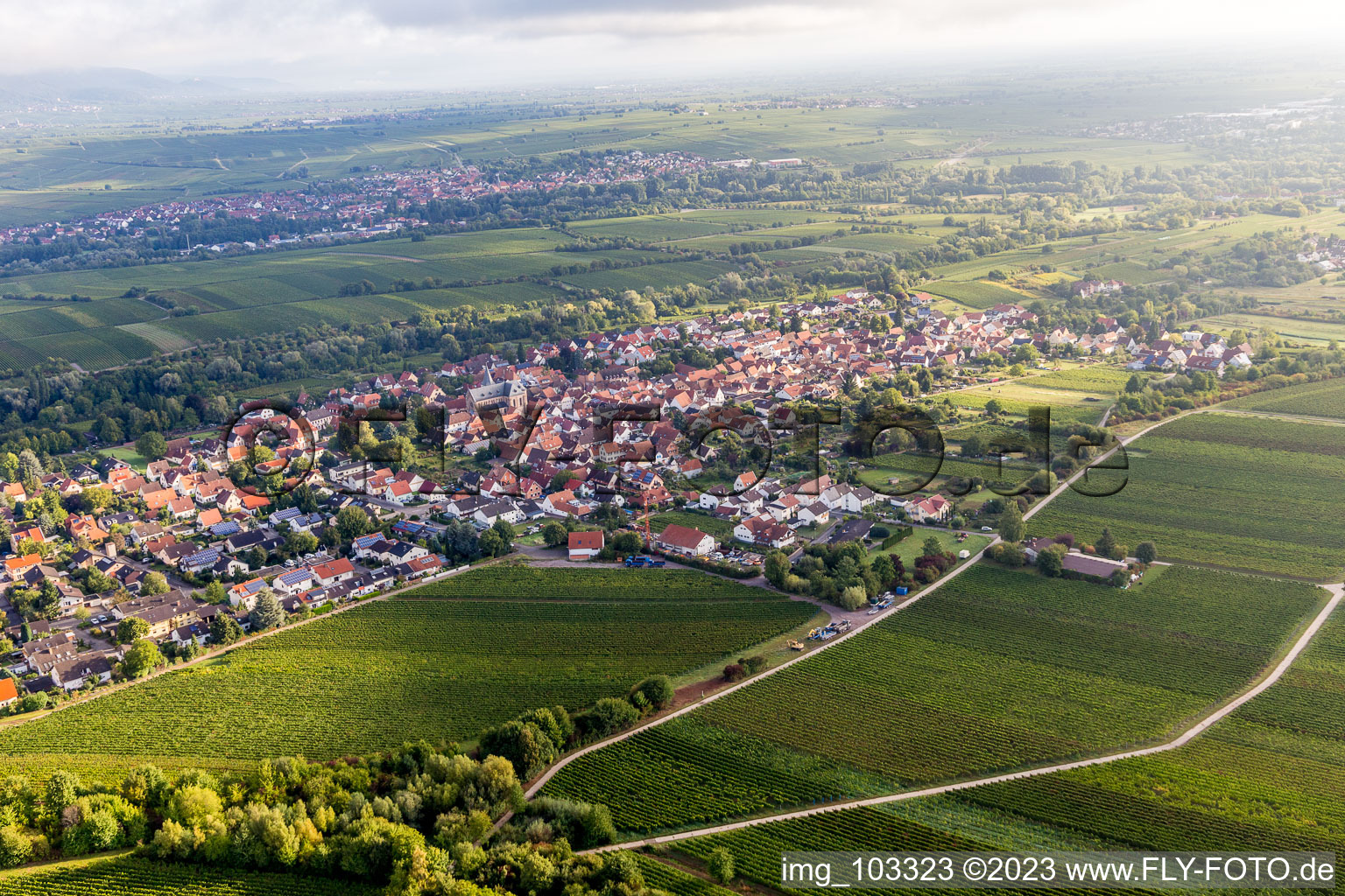 Aerial view of District Arzheim in Landau in der Pfalz in the state Rhineland-Palatinate, Germany