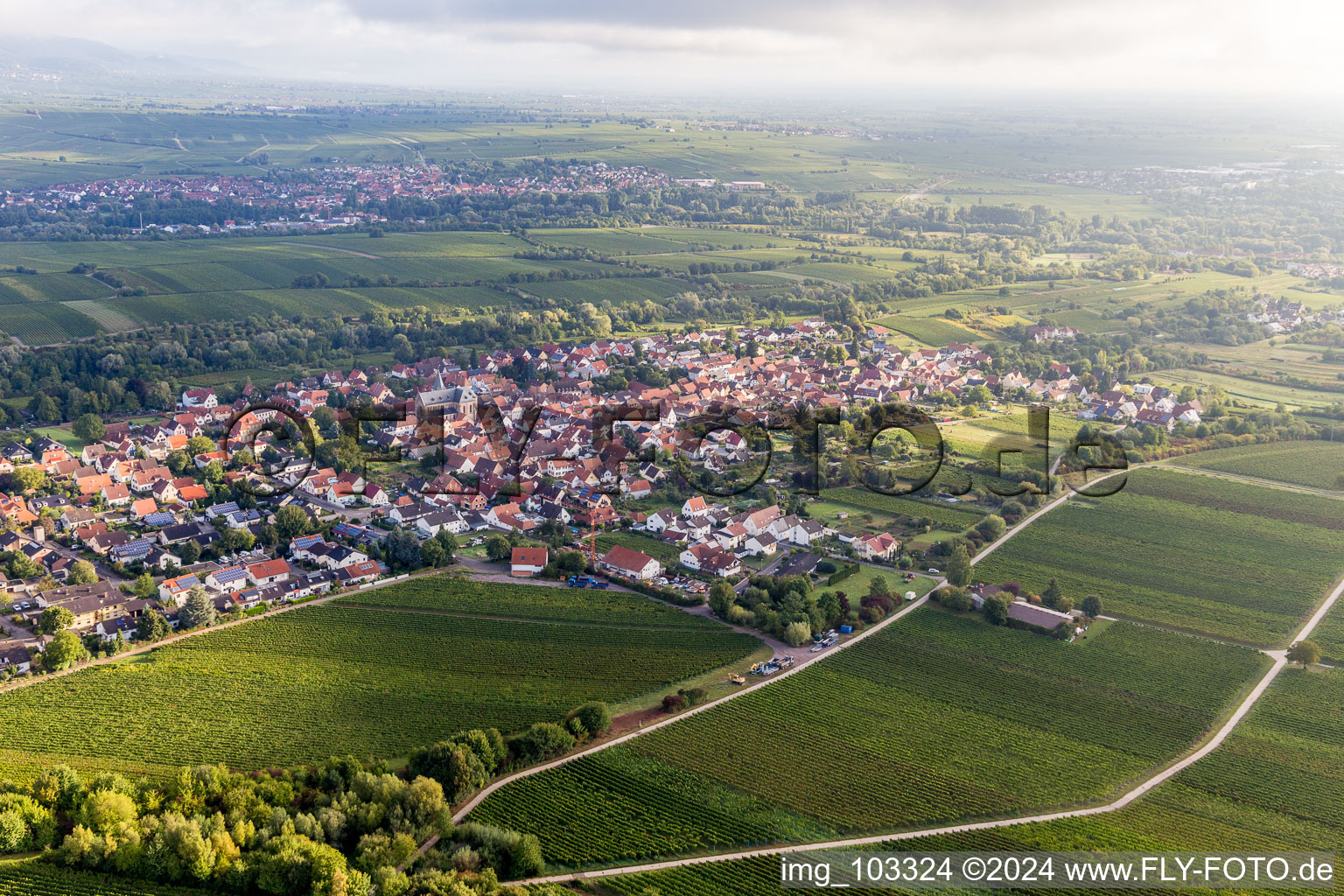 Aerial photograpy of District Arzheim in Landau in der Pfalz in the state Rhineland-Palatinate, Germany