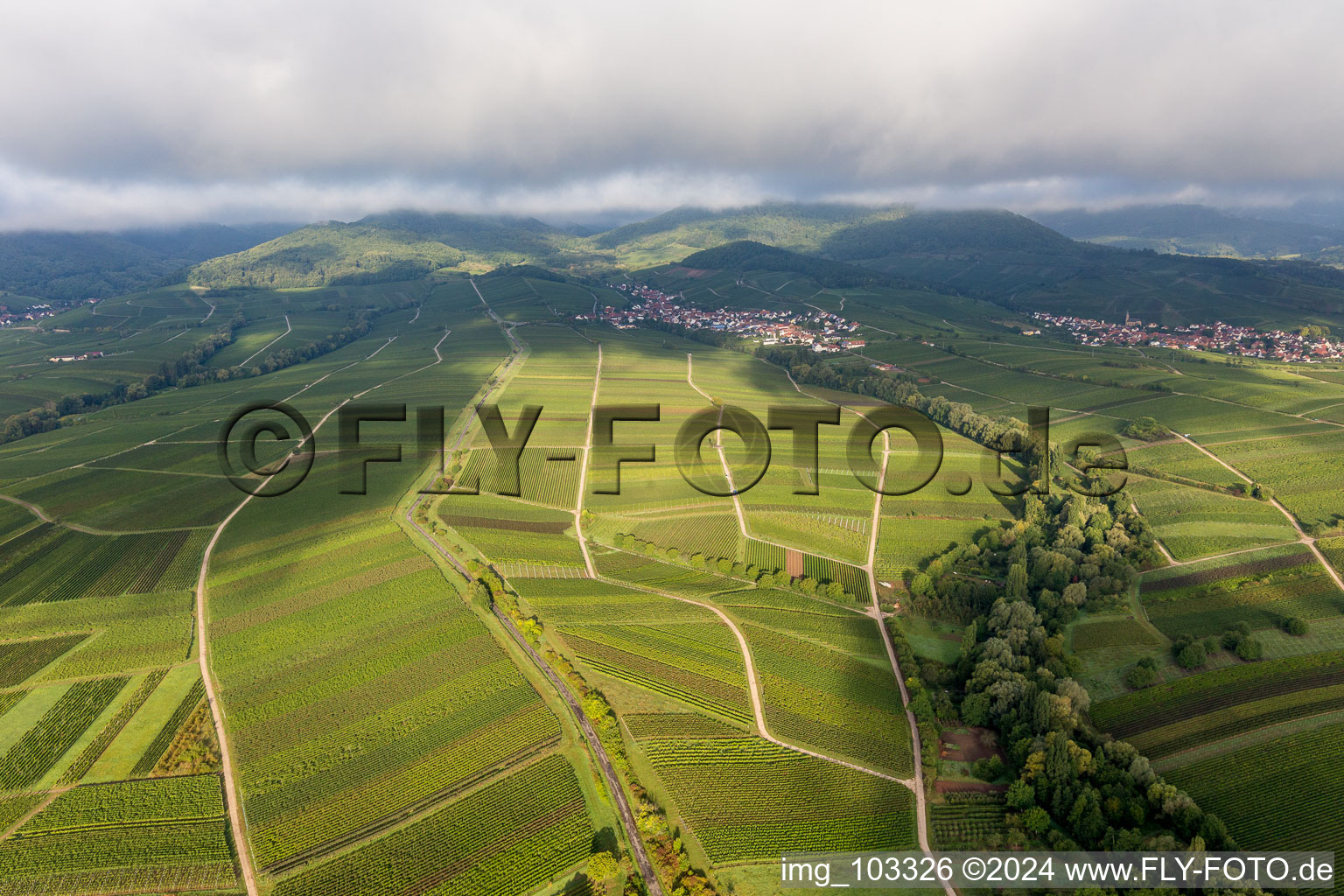 Ilbesheim bei Landau in der Pfalz in the state Rhineland-Palatinate, Germany out of the air