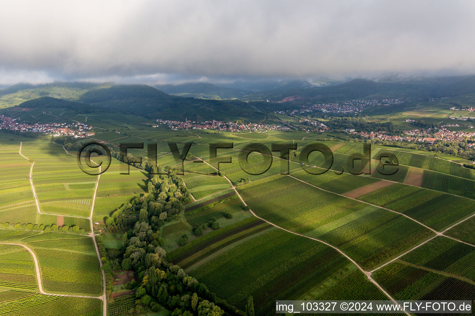 Ilbesheim bei Landau in der Pfalz in the state Rhineland-Palatinate, Germany seen from above